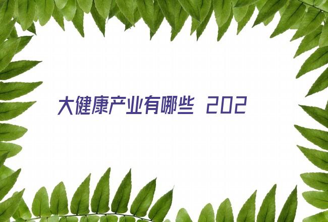 大健康产业有哪些 2020年中国大健康产业市场前景及投资研究报告（简版）